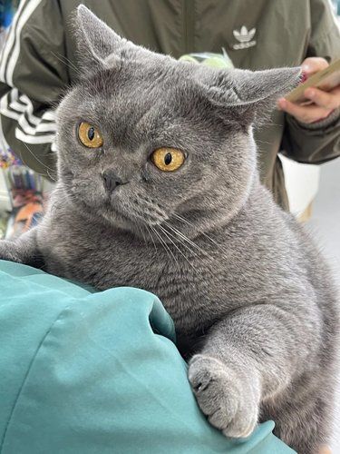 强烈安利这家宠物诊所真的是太贴心❤️了