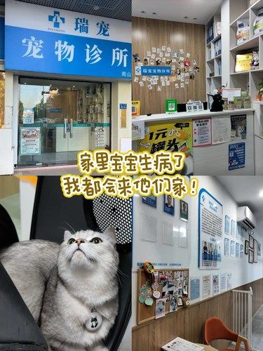 家里的小宝宝生病了我都会带他们来这里