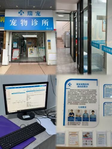厦门铲屎官看过来！瑞宠宠物诊所超棒！