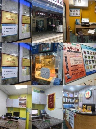 母狗绝育需要注意⚠️