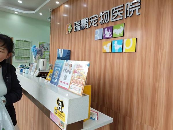 宠物医院手续（宠物医院办理流程）