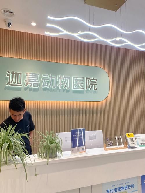 宠物医院手续（宠物医院办理流程）
