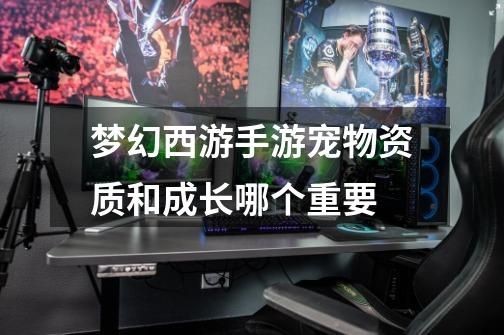 梦幻西游手游宠物资质和成长哪个重要-第1张-游戏信息-启与高科技