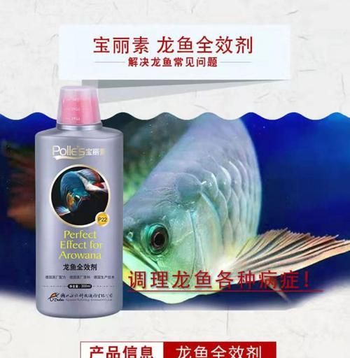 鱼皮肤白点问题如何处理？推荐的药物治疗是什么？