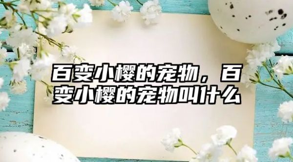 百变小樱的宠物，百变小樱的宠物叫什么