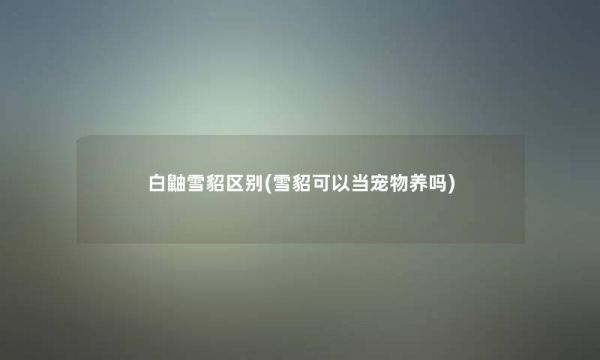 白鼬雪貂区别(雪貂可以当宠物养吗)