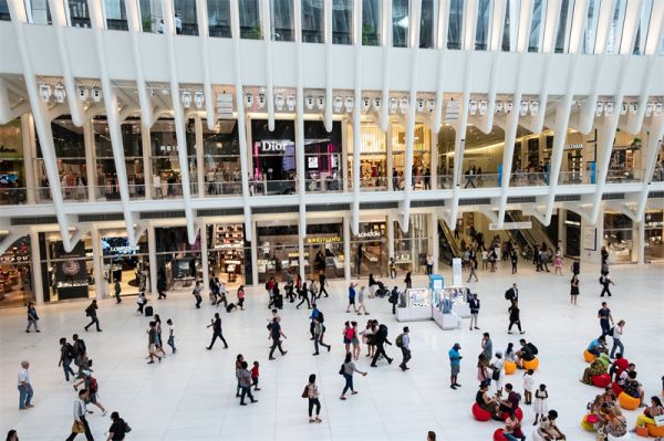 2023年最萌宠物美容店名 开店起名字大全免费