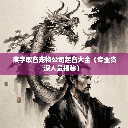  宸字取名宠物公司起名大全（专业资深人员揭秘） 