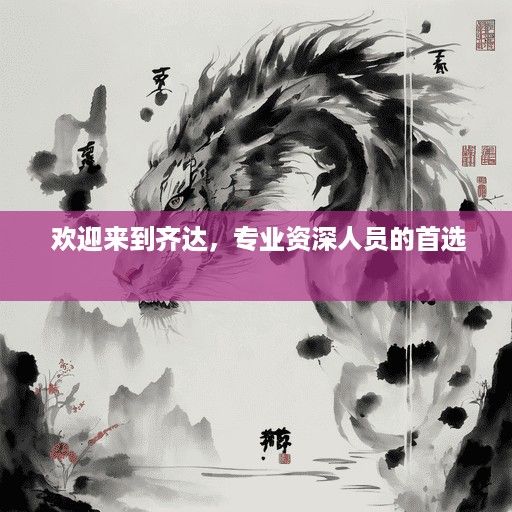  欢迎来到齐达，专业资深人员的首选 