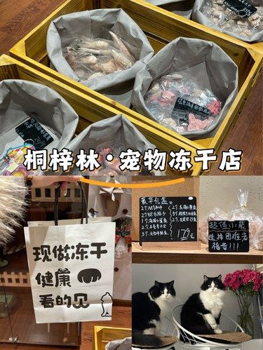 成都探店｜路过桐梓林来给猫主子薅鸡小胸啦！