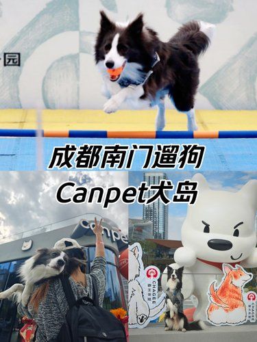 成都南门遛狗逛街宝藏-Canpet犬岛