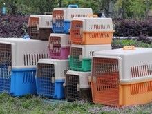 沈阳于洪宠物托运服务 24小时在线 超低价位宠物托运