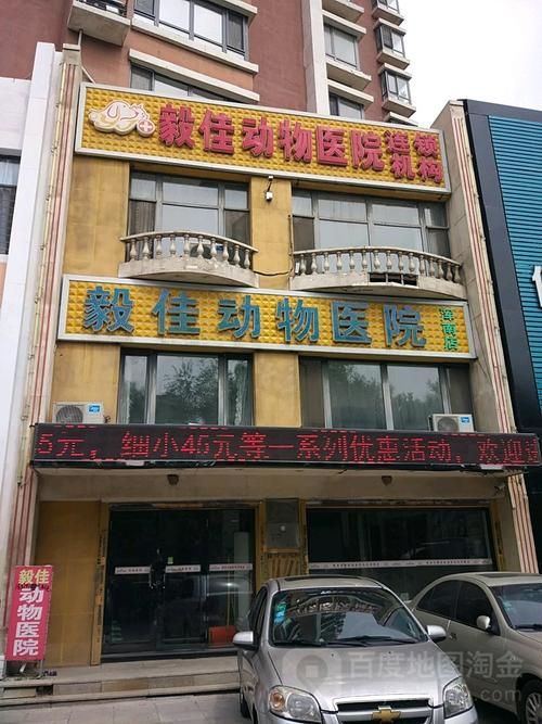 沈阳正规宠物医院，沈阳有哪些比较好的宠物医院？