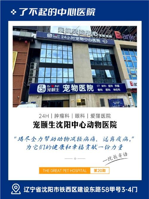 我宠我爱宠物医院浑南，沈阳哪家宠物医院比较正规？