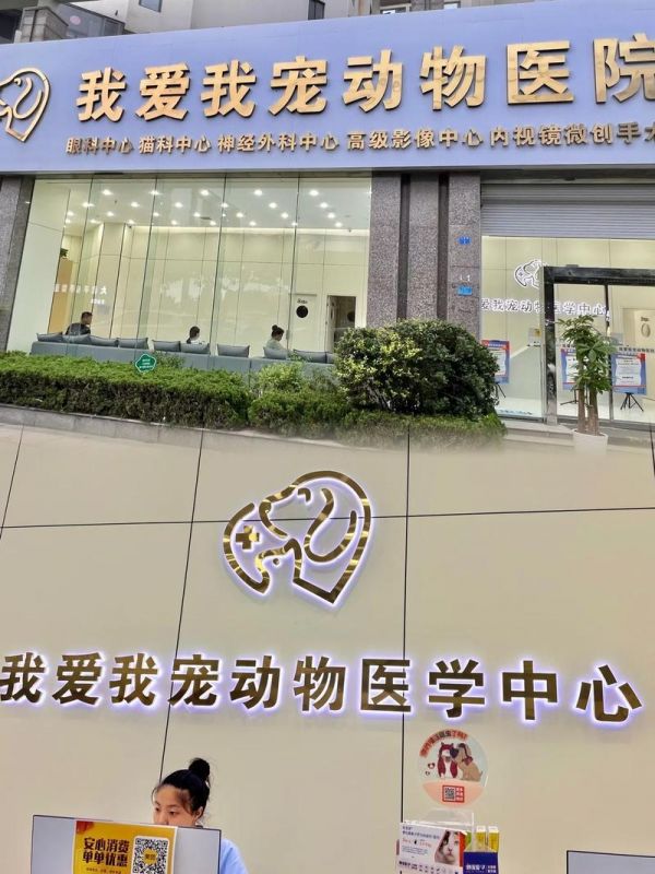 我宠我爱宠物医院浑南，沈阳哪家宠物医院比较正规？