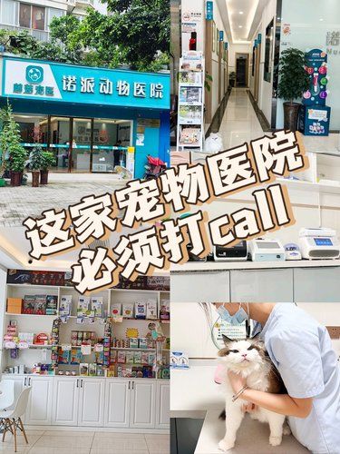 这家宠物医院真的太棒啦！