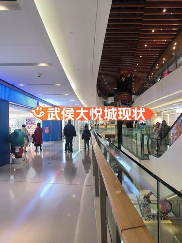 武侯大悦城现状
