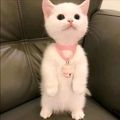https://p0.meituan.net/userheadpicbackend/124496baf4e005791b46896ceebd3fc3407700.jpg%40120w_120h_1e_1c_1l%7Cwatermark%3D0