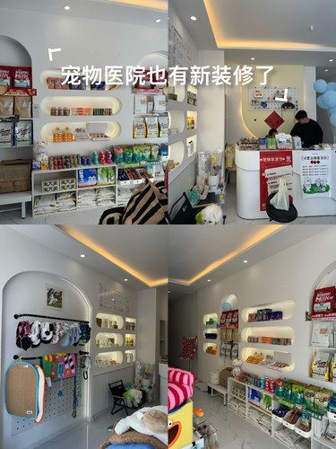 宠物美容小心得