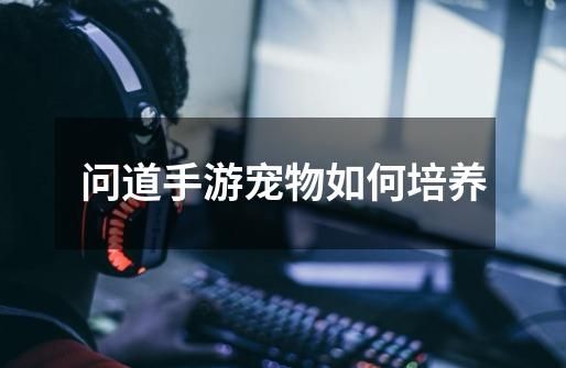 问道手游宠物如何培养-第1张-游戏信息-龙启网