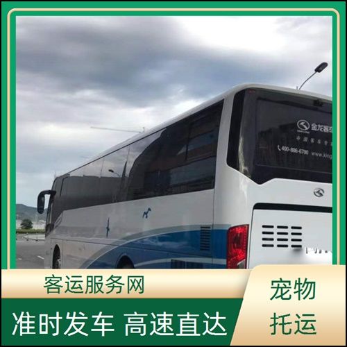 南通到长沙大巴宠物托运票价班次查询表(路线+票价)安全到家