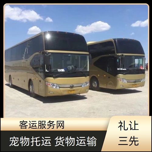 张家港到柳州大巴汽车票班次查询表（路线+票价）宠物托运