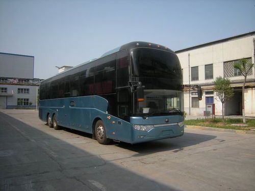 大巴车托运宠物：如何安全、便捷地带着宠物旅行？大巴车托运宠物的注意事项和经验分享