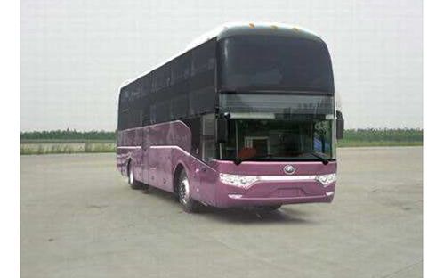 大巴车托运宠物：如何安全、便捷地带着宠物旅行？大巴车托运宠物的注意事项和经验分享