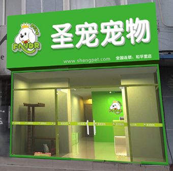 圣宠宠物