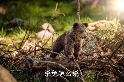 杀兔怎么杀