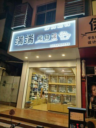 宠物店的暖心事