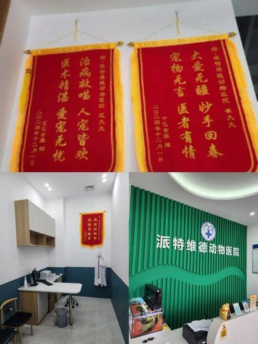 派特维德动物医院，爱宠的健康港湾