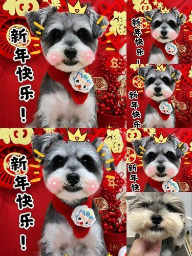 迎新年啦~