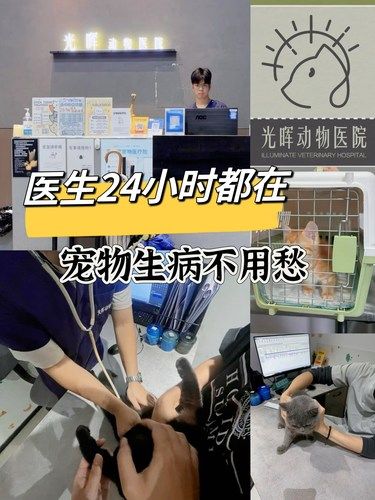 毛孩子半夜生病不用怕❗医生24小时都在