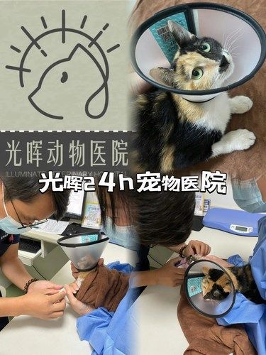 超友好，有爱心的宠物医院