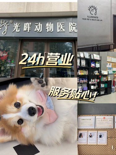 在佛山！我家狗狗认准的宠物医院！24h营业！