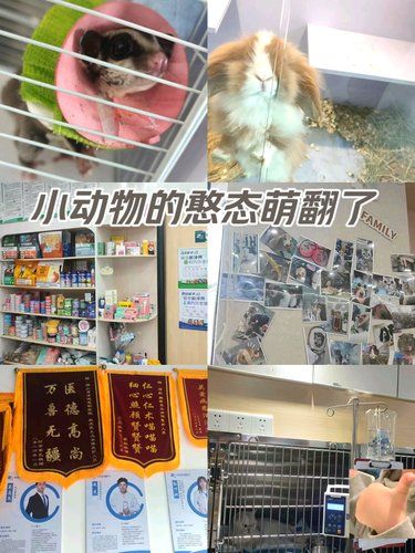 在佛山我推荐这家有爱❤️宠物医院[打卡]