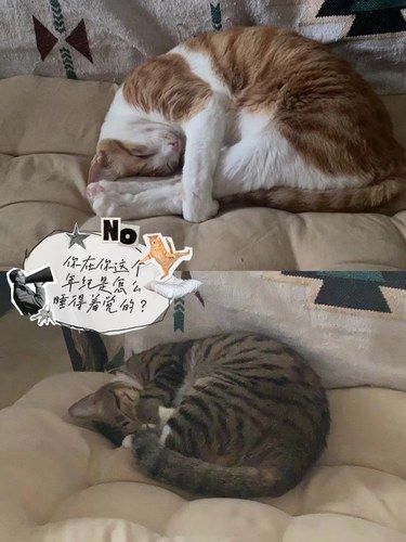 ：你能再讲一次我们相遇的故事么