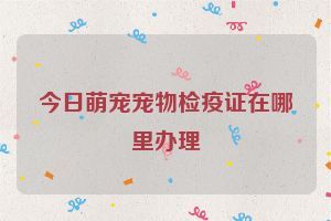 今日萌宠宠物检疫证在哪里办理