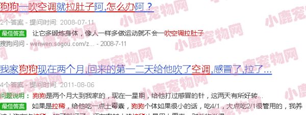 狗吹空调拉稀怎么办