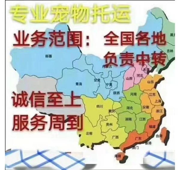 宠物能空运吗 南平宠物托运平台