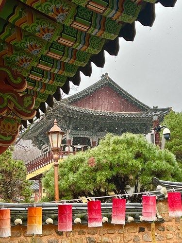 又是清明雨上，惟愿平安健康