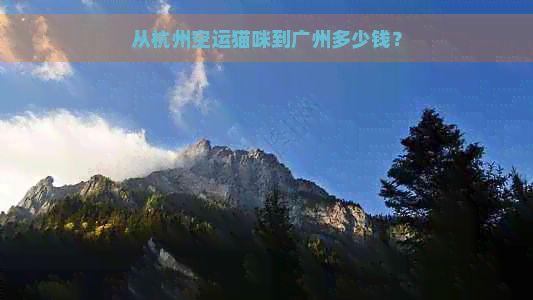 从杭州空运猫咪到广州多少钱？