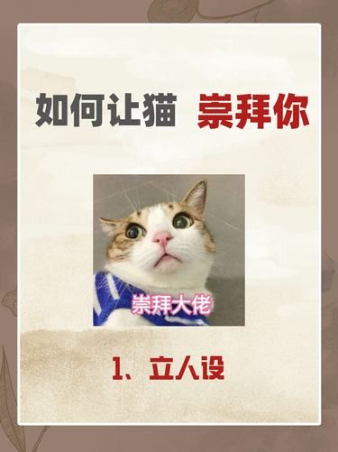 卑微养猫人逆袭指南，轻松拿捏小猫咪