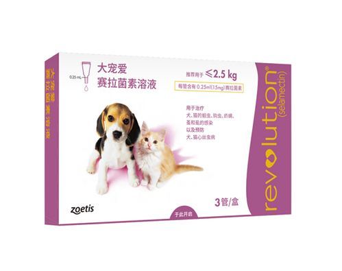 成年犬多久做一次体内驱虫?科学养宠,健康相伴!