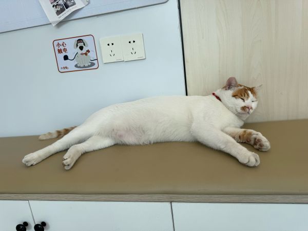 https://qcloud.dpfile.com/pc/gd75ydWt4Zonl8G5KeL4M46-6UJiplbK4GCMqWtzYAPZFXk8n_wsJkAjoWO0oHOAY0q73sB2DyQcgmKUxZFQtw.jpg