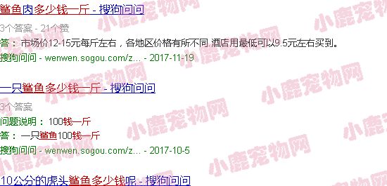 虎鲨鱼多少钱一斤
