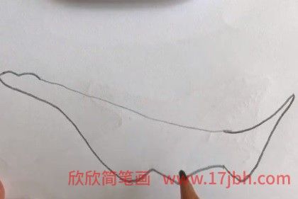 儿童简笔画大鲨鱼