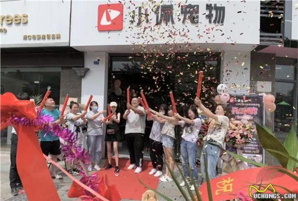 怎样开好一个宠物店?