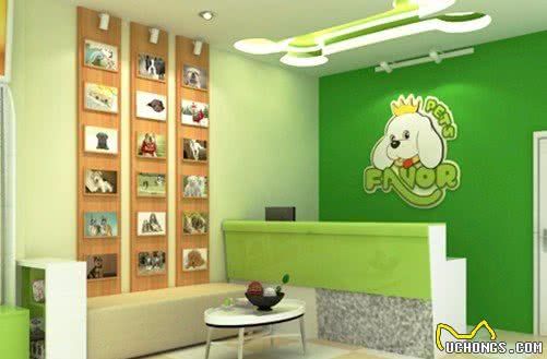 怎样开好一个宠物店?